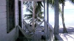 *Yoldan Gönüllü Çıktım