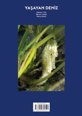 Yaşayan Deniz /