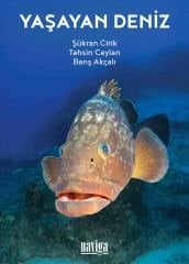 Yaşayan Deniz /