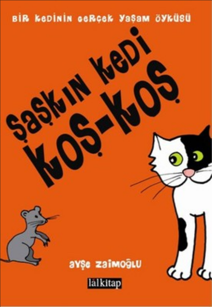 Şaşkın Kedi Koş-Koş,