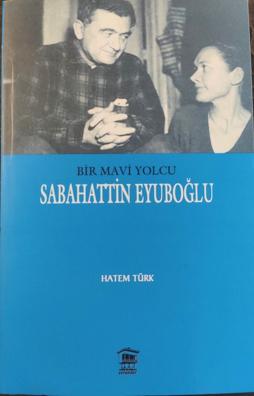 Bir Mavi Yolcu,
