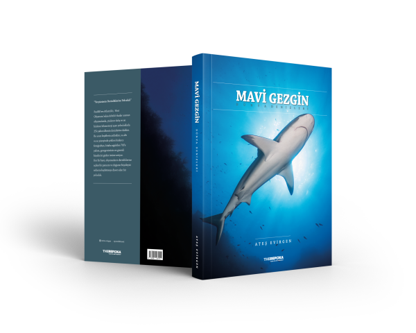 Mavi Gezgin - Dünya Denizleri/